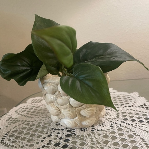 Small Seashell Flower Pot - Picture 9 of 9